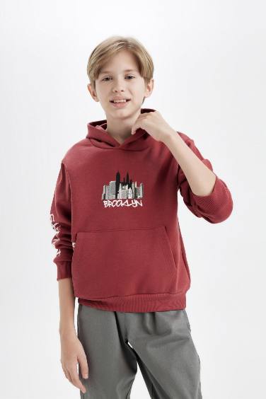 Boy Regular Fit Hooded Thick Sweatshirt Fabric Sweatshirt