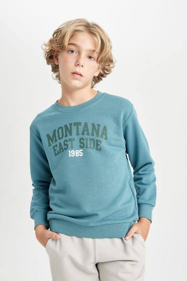 Boy Regular Fit Crew Neck Text Printed Sweatshirt