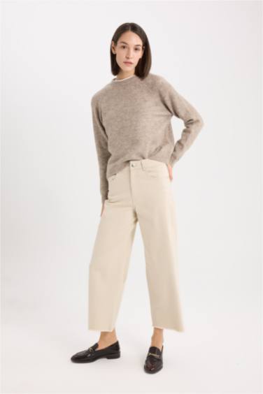 Regular Fit Crew Neck Pullover