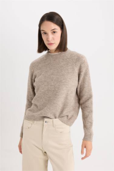 Regular Fit Crew Neck Pullover