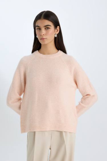 Pull en Tricot à col rond Coupe régulière