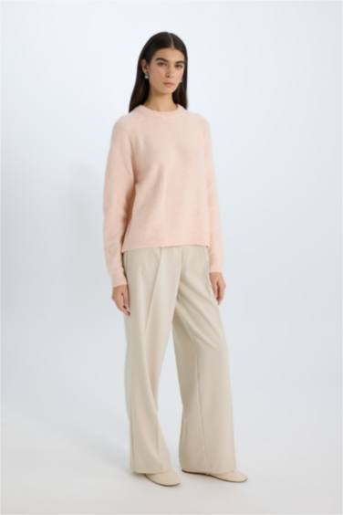 Regular Fit Crew Neck Knitwear Pullover