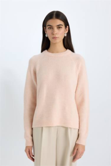Regular Fit Crew Neck Knitwear Pullover