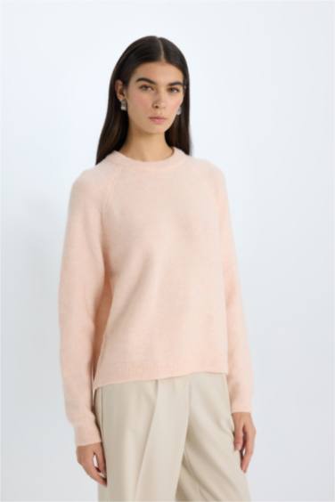 Regular Fit Crew Neck Knitwear Pullover