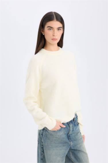Pull Tricot Basique à Col rond et Coupe régulière