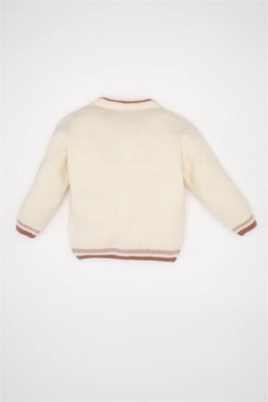 Regular Fit V-Neck Cardigan