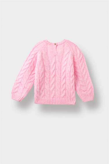 Baby Girl Crew Neck Knit Pullover