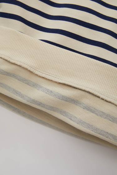 Baby Boy Crew Neck Striped Thin Sweatshirt