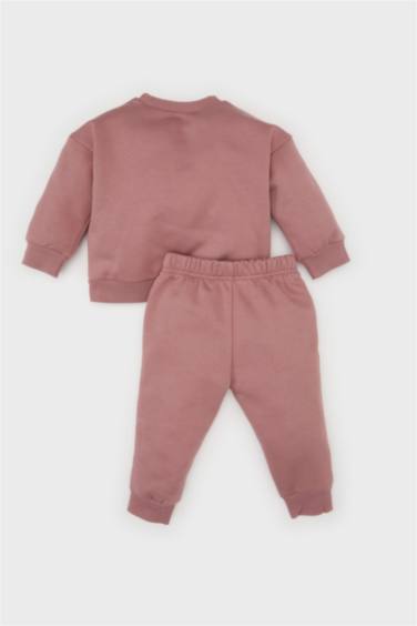 Baby Girl Printed Sweatshirt Elastic Waist Sweatpants 2 Piece Set