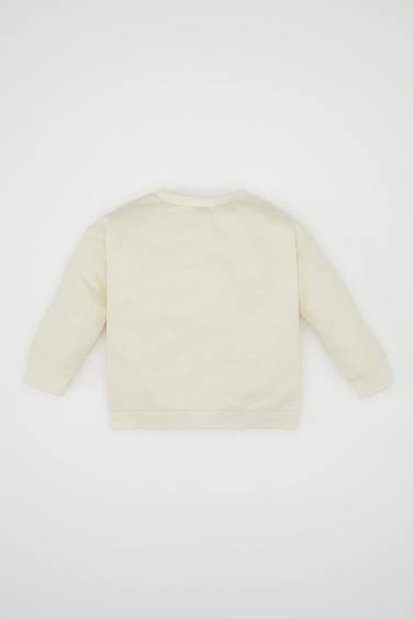 Regular Fit Crew Neck Sweatshirt