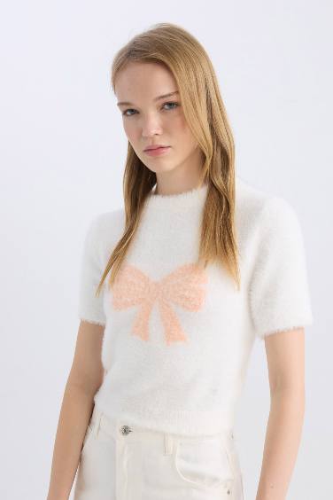 Regular Fit Ribbon Bow Detailed Crew Neck Plush Knitwear Pullover