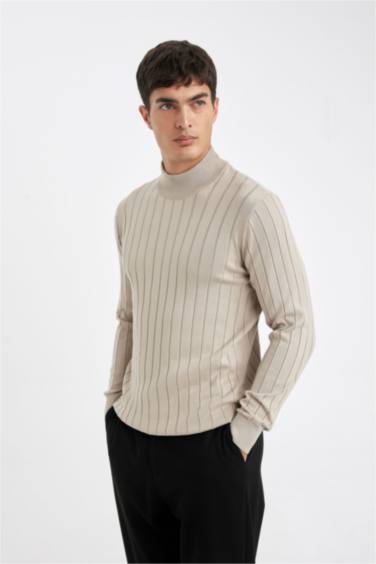 Standard Fit Turtleneck Knitwear Pullover