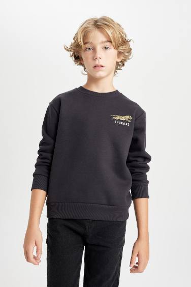 Boy Crew Neck Printed Thick Sweatshirt