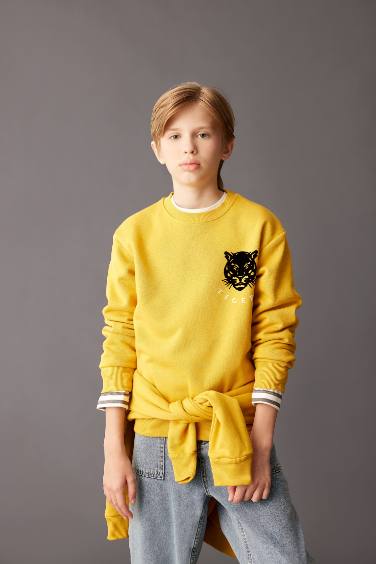 Boy Crew Neck Tiger Printed Sweatshirt