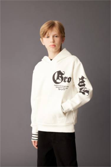 Boy Hooded Printed Thick Sweatshirt