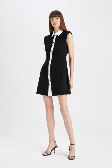 Woven Sleeveless Mini Dress