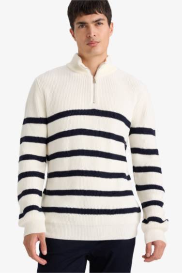 Pull à col roulé Coupe standard