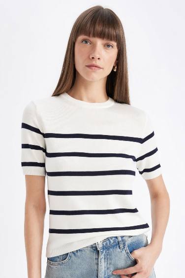 Regular Fit Crew Neck Striped Pullover