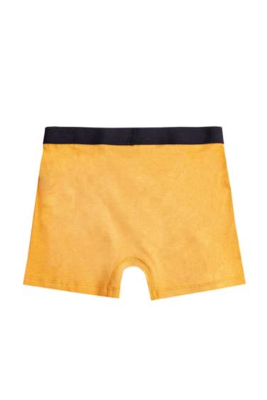 3 piece Regular Fit Boxer