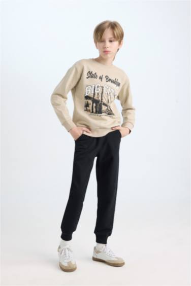Boy Printed Thick Sweatshirt Jogger Sweatpants 2 Piece Set