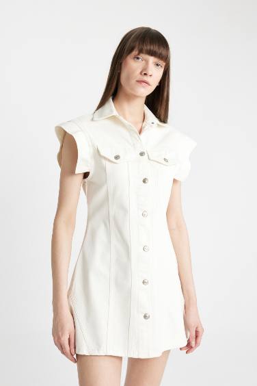 Fashion Fit Denim Mini Dress