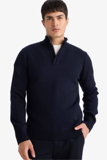 Pull à col roulé Coupe standard