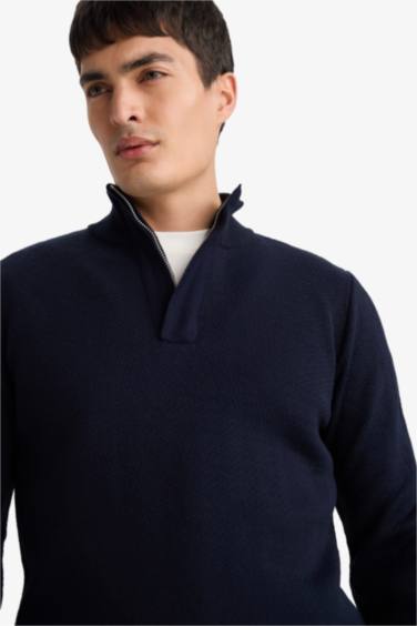 Pull à col roulé Coupe standard