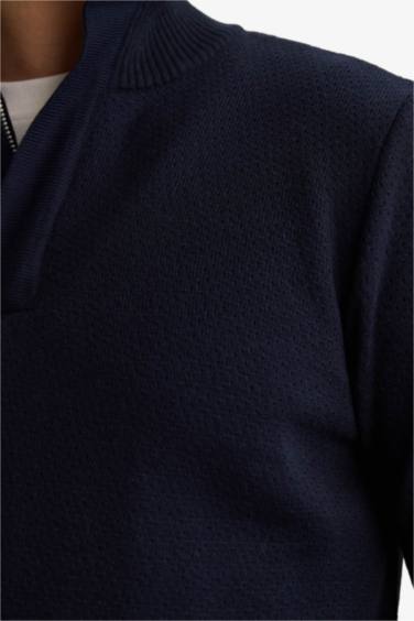 Pull à col roulé Coupe standard