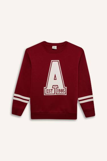 Boy Crew Neck Printed Sweatshirt