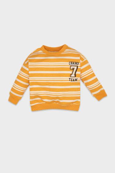 Baby Boy Regular Fit Striped Soft Furry Thin Sweatshirt