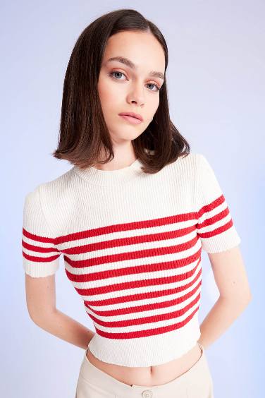 Slim Fit Striped Knitwear T-Shirt