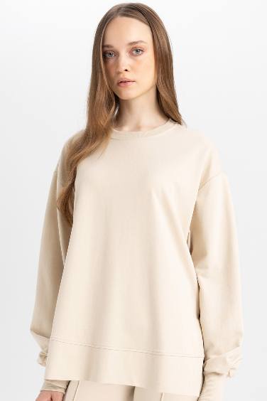 Regular Fit Crew Neck Basic Sweatshirt Tunic