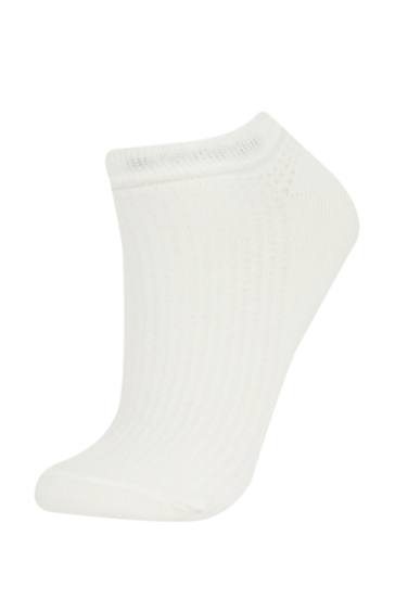 Woman 5 Piece Cotton Booties Socks