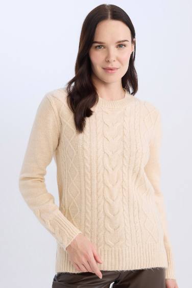 Regular Fit Crew Neck Knitwear Pullover