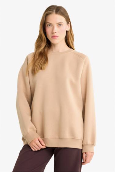 Oversize Loose Fit Basic Thick Fabric Sweatshirt