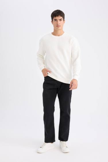 Regular Fit Bisiklet Yaka Jakarlı Sweatshirt