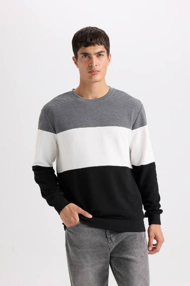 Regular Fit Bisiklet Yaka Jakarlı Sweatshirt