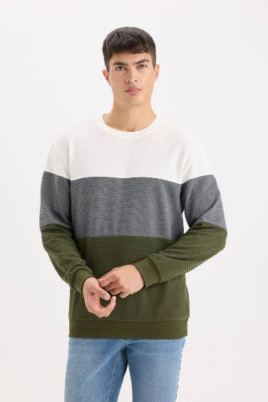 Regular Fit Bisiklet Yaka Renk Bloklu Jakarlı Sweatshirt