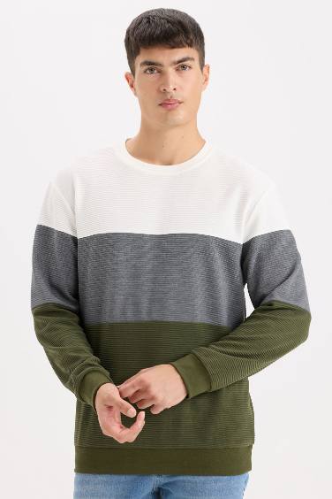 Regular Fit Sweatshirt