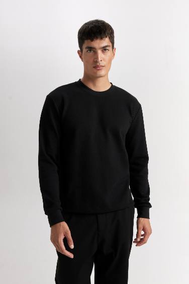 Erkek Siyah Regular Fit Bisiklet Yaka Jakarlı Sweatshirt