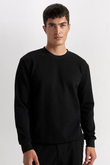 Regular Fit Sweatshirt