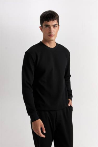 Regular Fit Sweatshirt