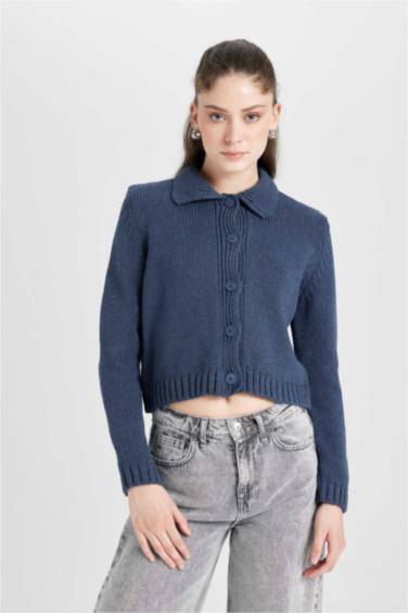 Regular Fit Polo Collar Knitwear Cardigan