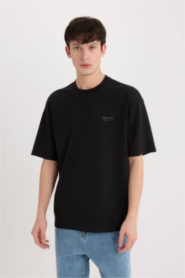 Boxy Fit Crew Neck Printed Heavy Fabric T-Shirt