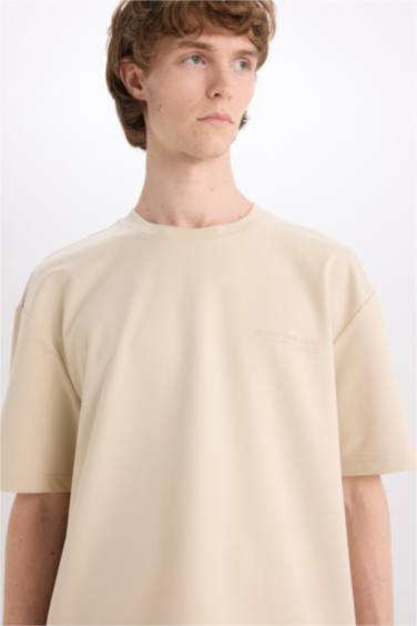 Boxy Fit Crew Neck Printed Heavy Fabric T-Shirt