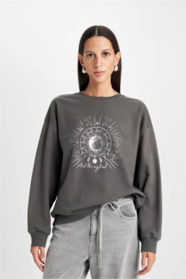 Relax Fit Crew Neck Printed Thin Sweatshirt