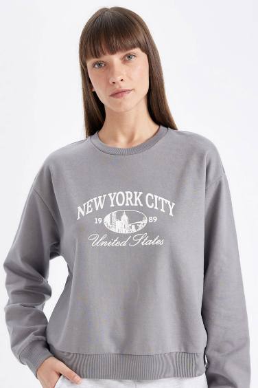 Regular Fit Crew Neck Printed Thin Sweatshirt