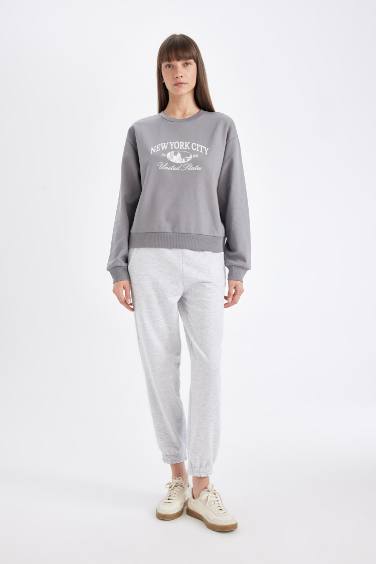 سويت شيرت خفيف قصة عادية بياخة مستديرة