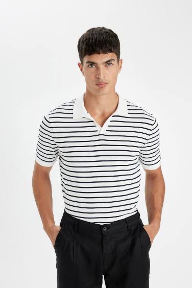 Standard Fit Striped Knitwear Polo Shirt