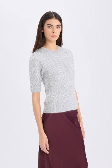 Regular Fit Crew Neck Basic Half Sleeve Knitwear Pullover